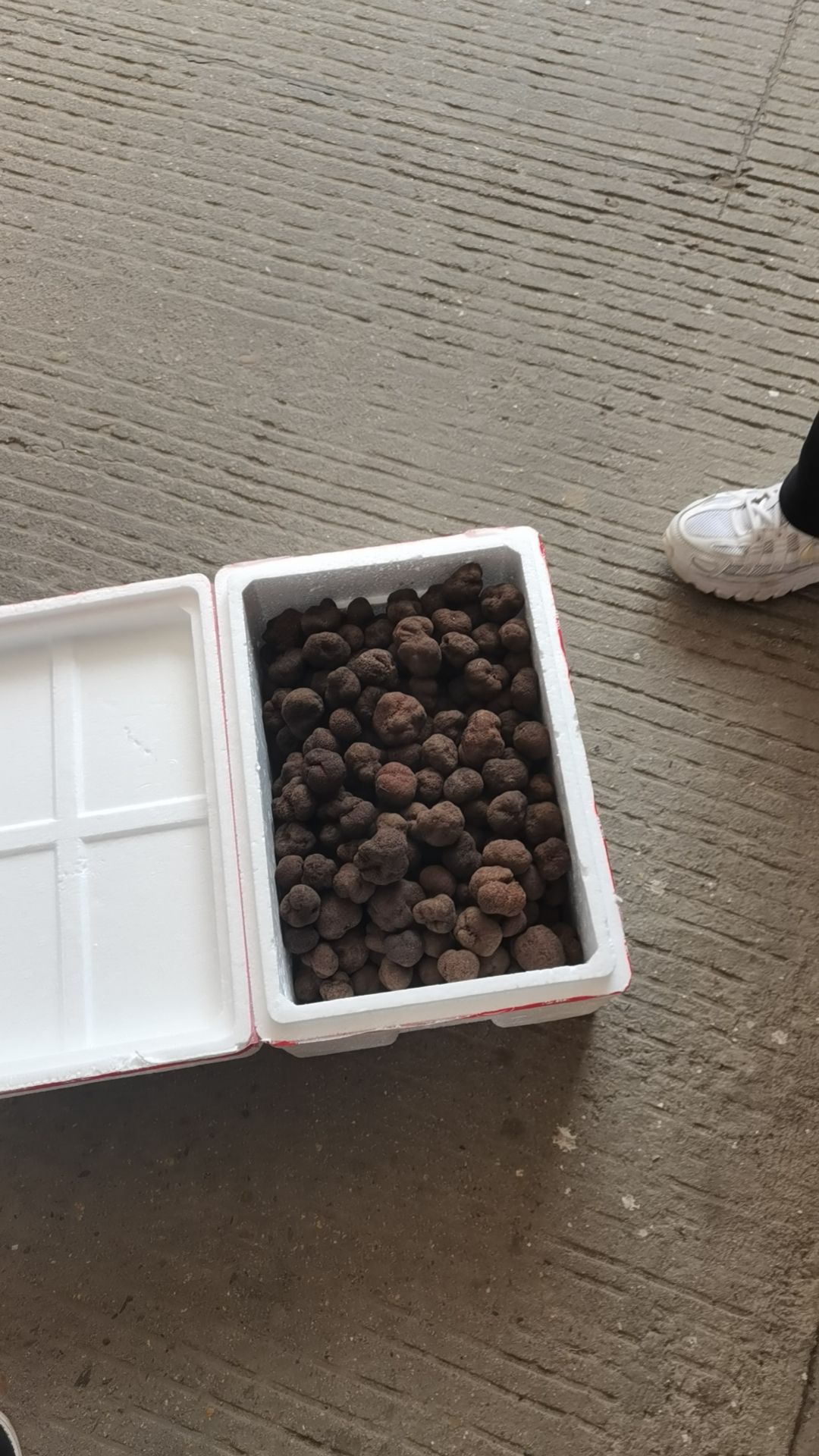 餐桌上的黑钻石