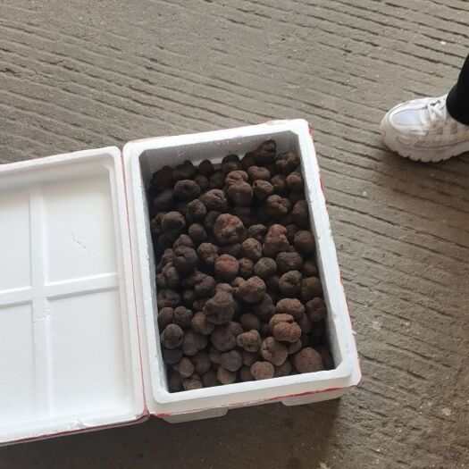 依兰县餐桌上的黑钻石