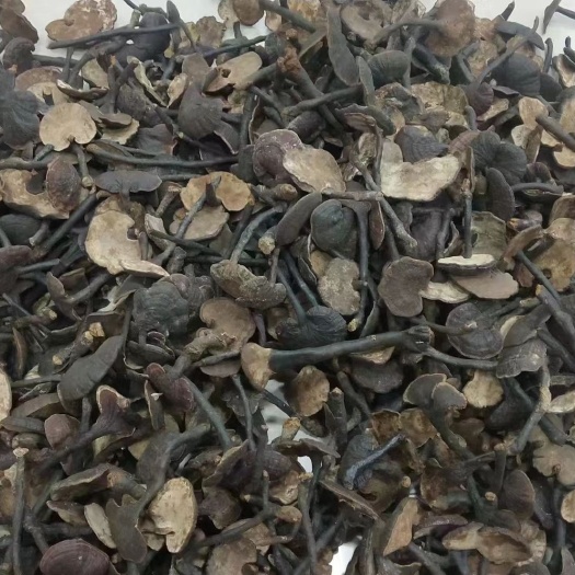 瑞丽市灵芝十足干度，清香回甘不苦的，