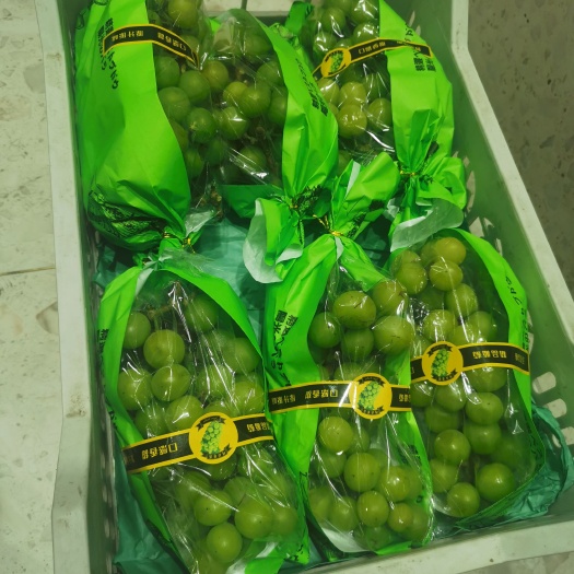 晴王阳光玫瑰玫瑰香好吃葡萄