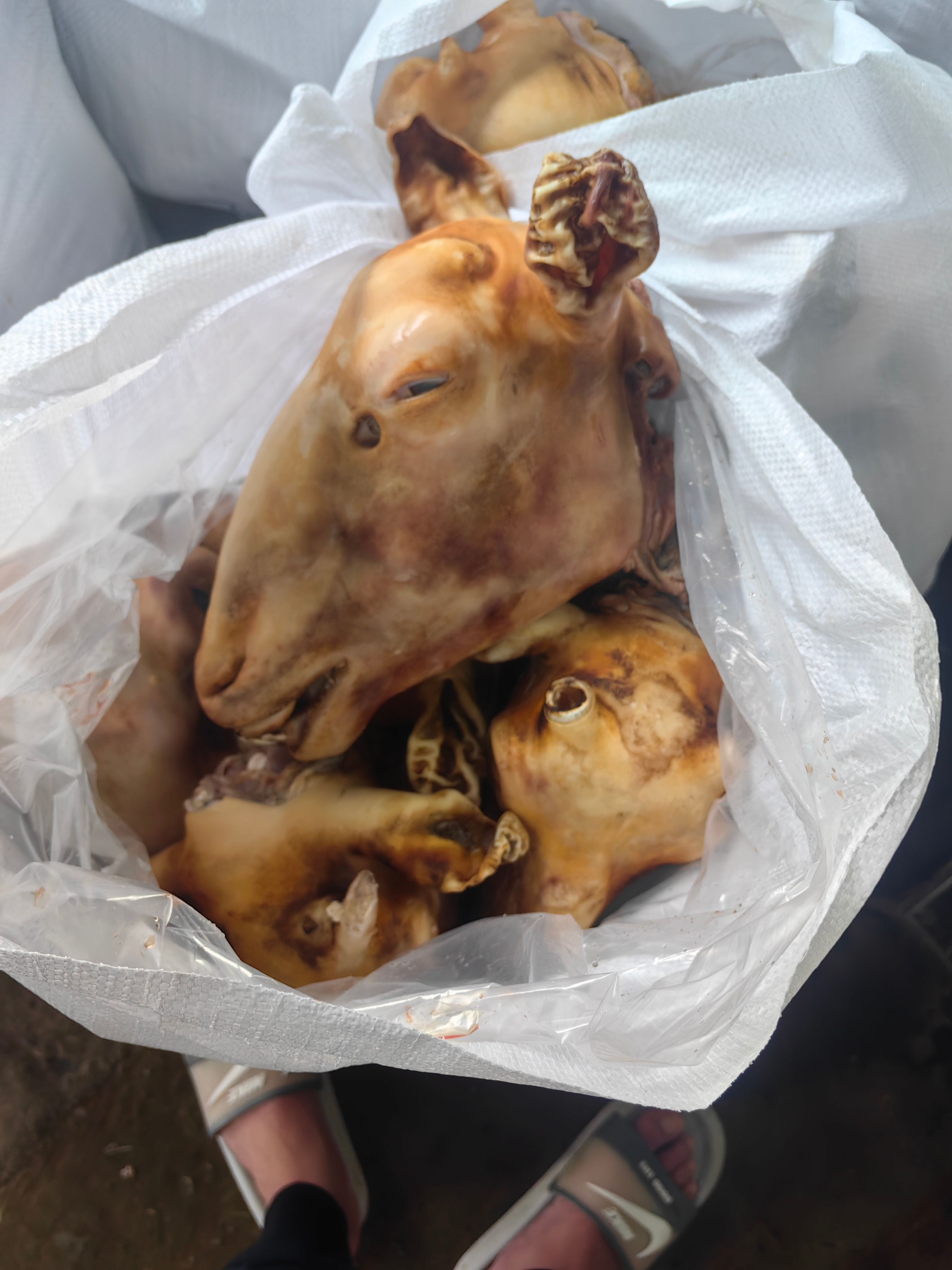 烧火羊头