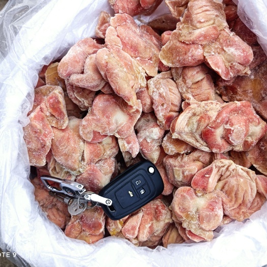 莘县大肉食鸡胗 单冻无肚/带肚