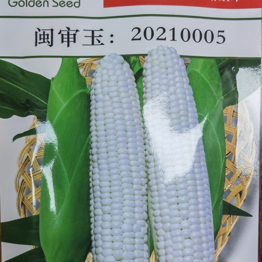莱阳市雪甜232甜玉米种子