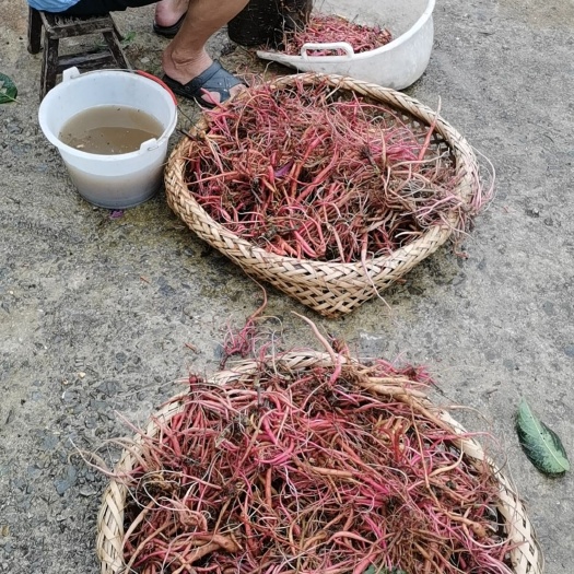 纯红牛膝，无硫无农残使用更放心