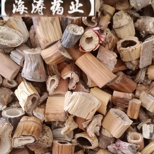 【芦根】本地新货无硫实物拍摄一手货源大货供应规格齐全量大优惠