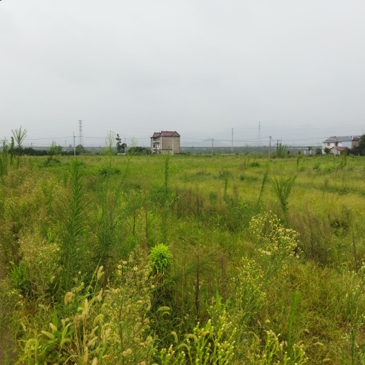 江山市转让转租蔬菜瓜果种植基地100亩