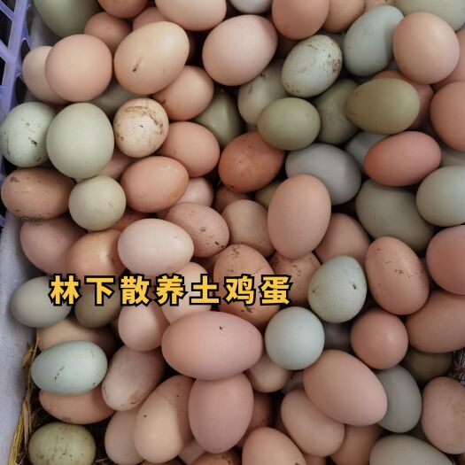 长沙林下散养土鸡蛋笨鸡蛋虫草蛋纯粮喂养玉米米糠麸皮喂养口感香
