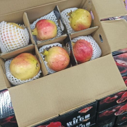 高碑店市突尼斯软籽石榴