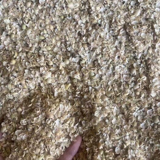 淄博中大壳大豆皮