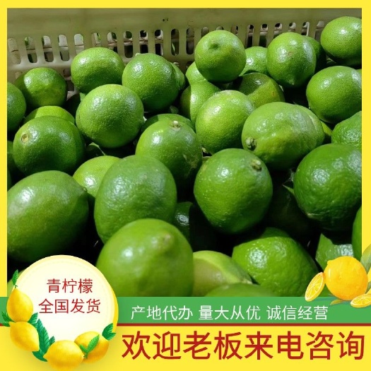 资中县青柠檬 柠檬一件代发 产地直供 代收代发 期待与您的长期合作
