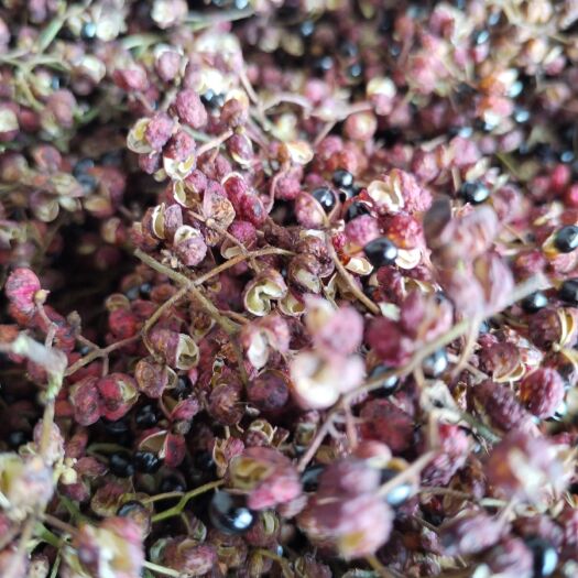 西安自产自销，保证质量，诚信第一