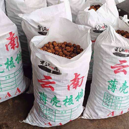 龙陵县小马麻查核桃选果