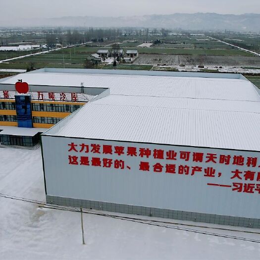 千阳县陕西省宝鸡市千阳县南寨镇 万吨冷库有 26间库出租，可分割。