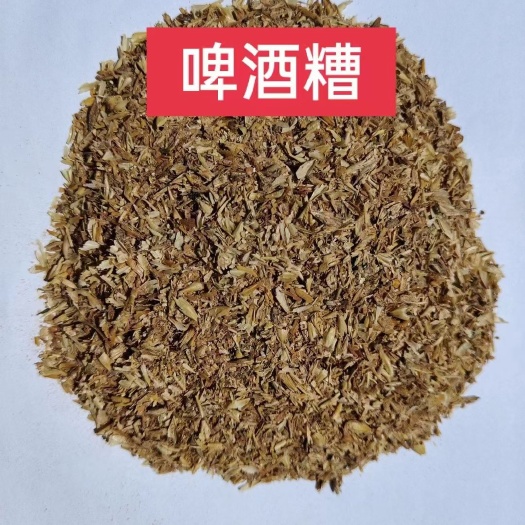 石家庄啤酒糟，烘干啤酒糟