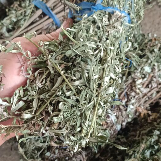 河池小艾叶条，小扎把