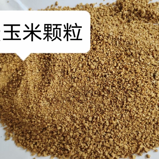 石家庄糖蜜玉米颗粒