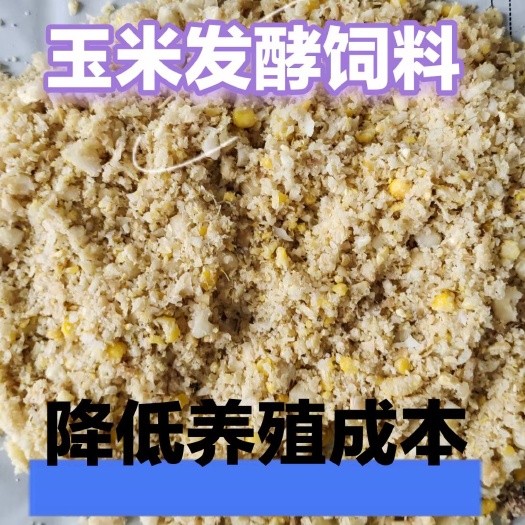 石家庄玉米发酵饲料