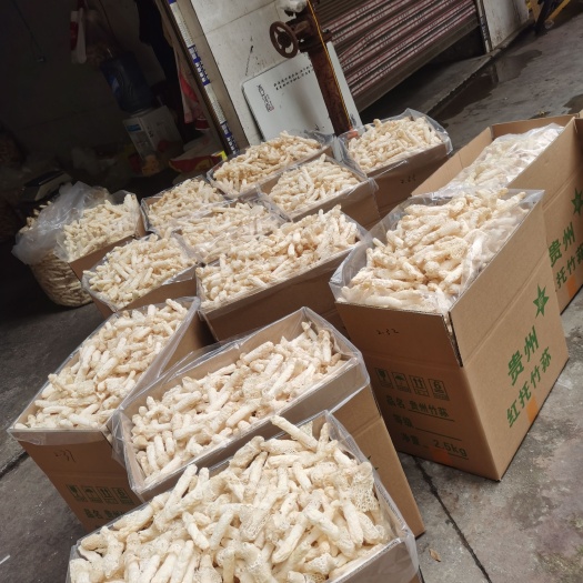织金县原产地贵州省织金县清香型（荣祥）红托竹荪批发（一手货源）