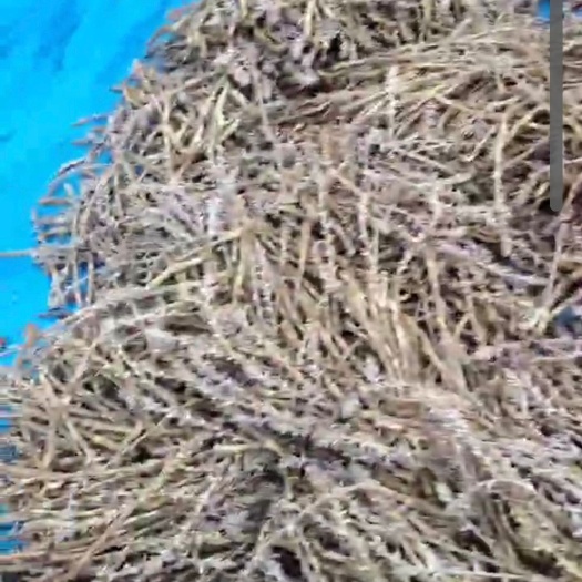 列当湿的一元，干的自凉，没有时间