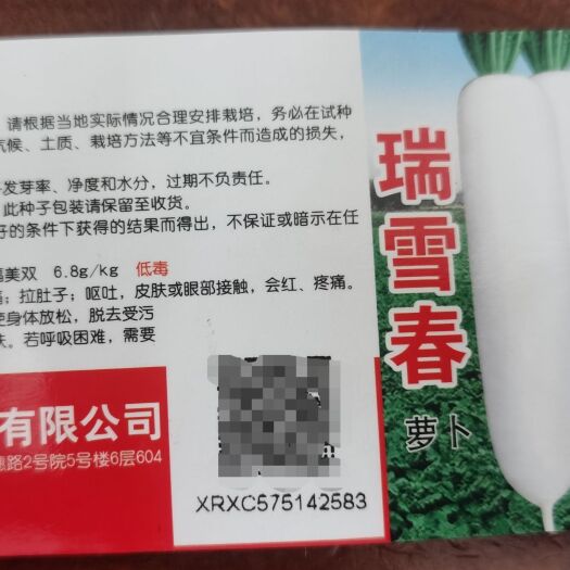 南靖县杂交瑞春雪白萝卜，不易抽苔，不易糠心，须根少，表皮光滑。