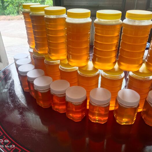 桐梓县中蜂蜂蜜，大山里养的
