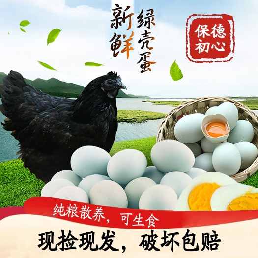 五黑鸡纯粮散养高品质绿壳蛋