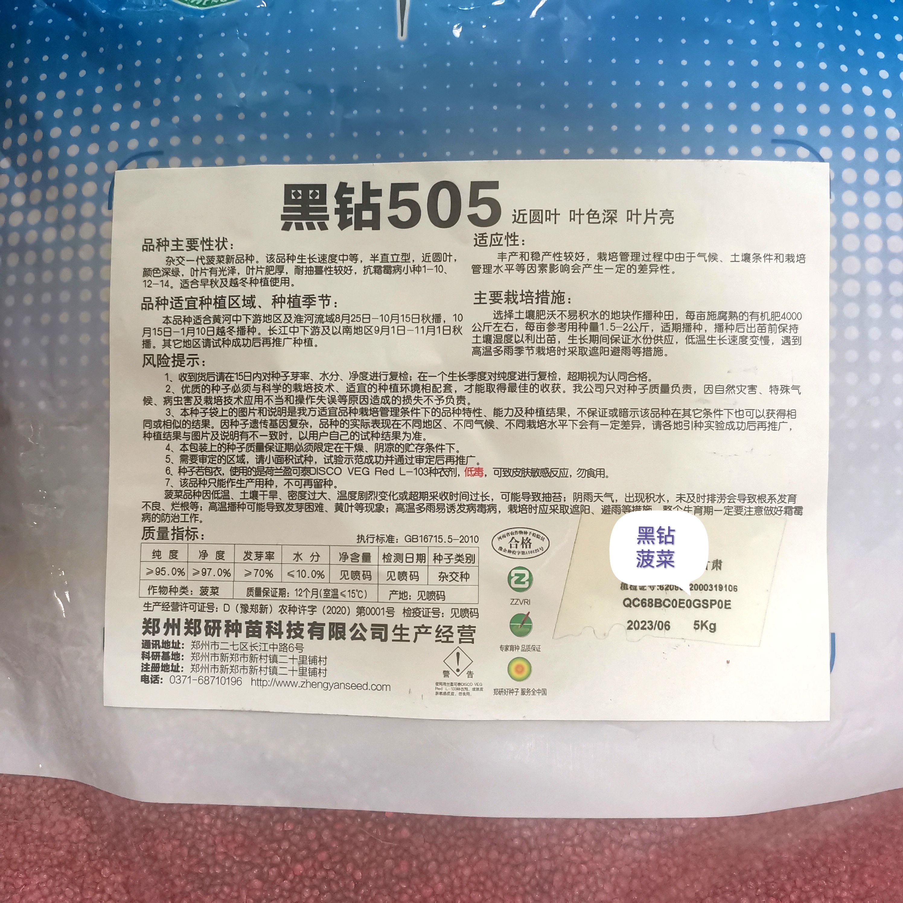 郑研黑钻505菠菜种子半直立型近圆叶叶色深叶片亮早秋越冬种植