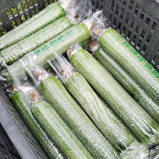 南宁好丝瓜批量出售