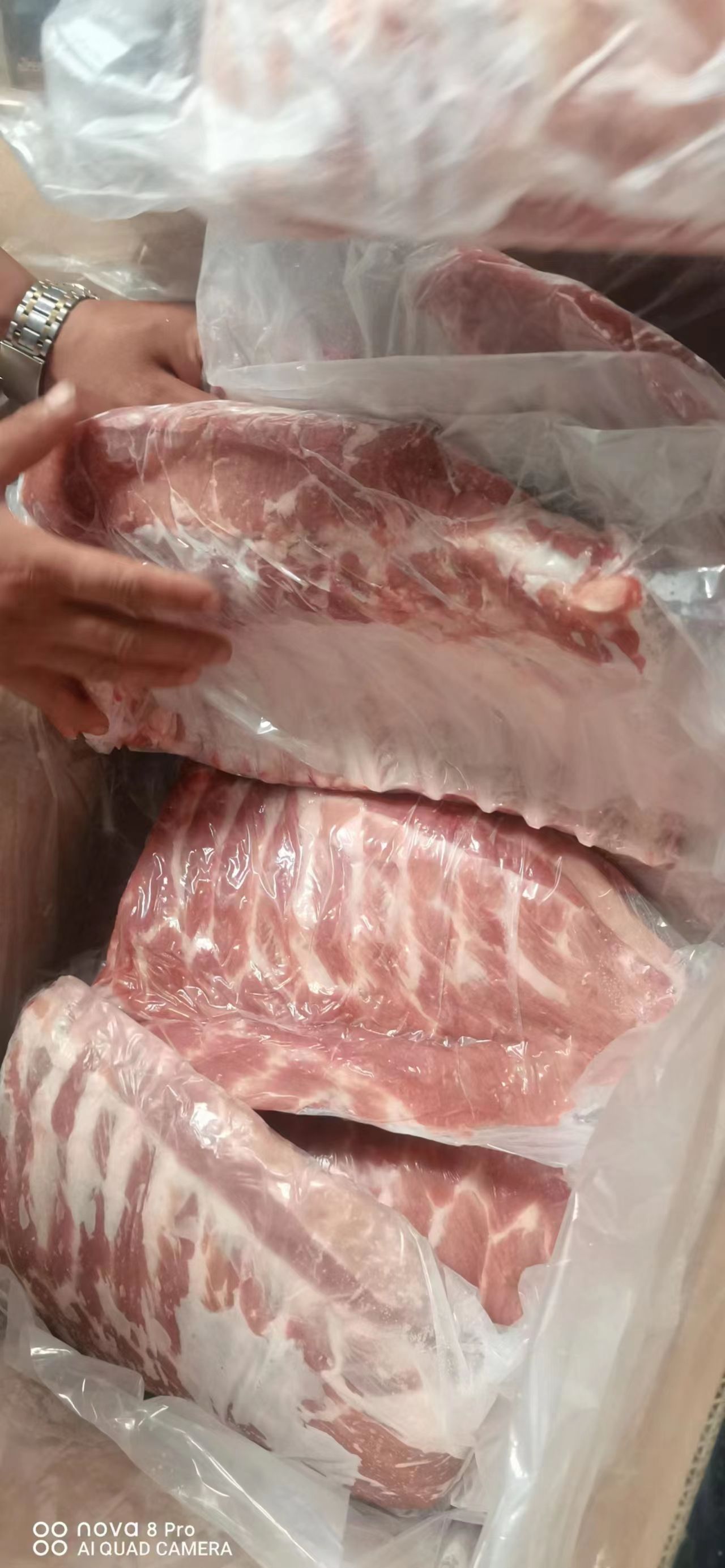 肥猪肋排