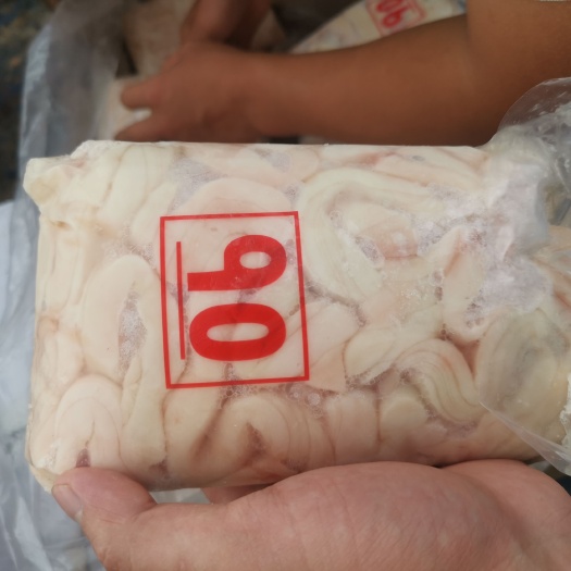 济南90骨髓