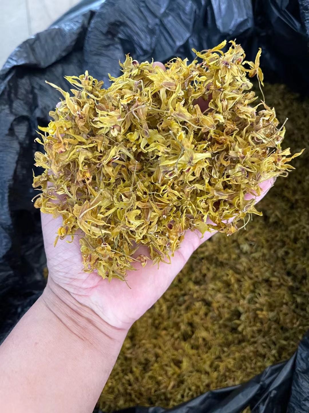 铁皮石斛鲜花 紫皮石斛鲜花 自家采的 便宜卖咯