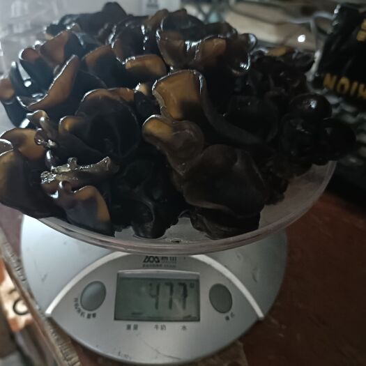 长沙新鲜的木耳上市了
