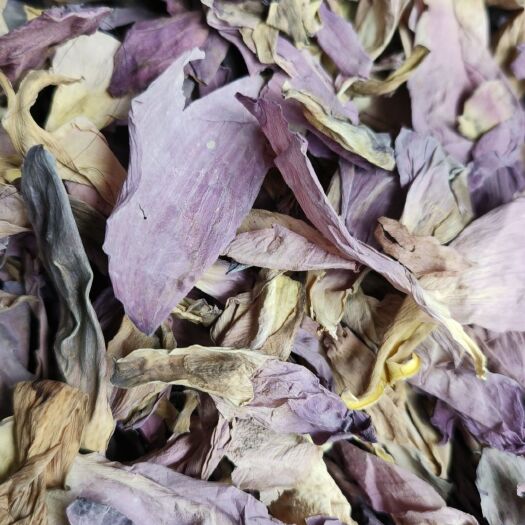 亳州荷花包邮荷花干荷花茶各种规格一手货源量大从优可一件代发