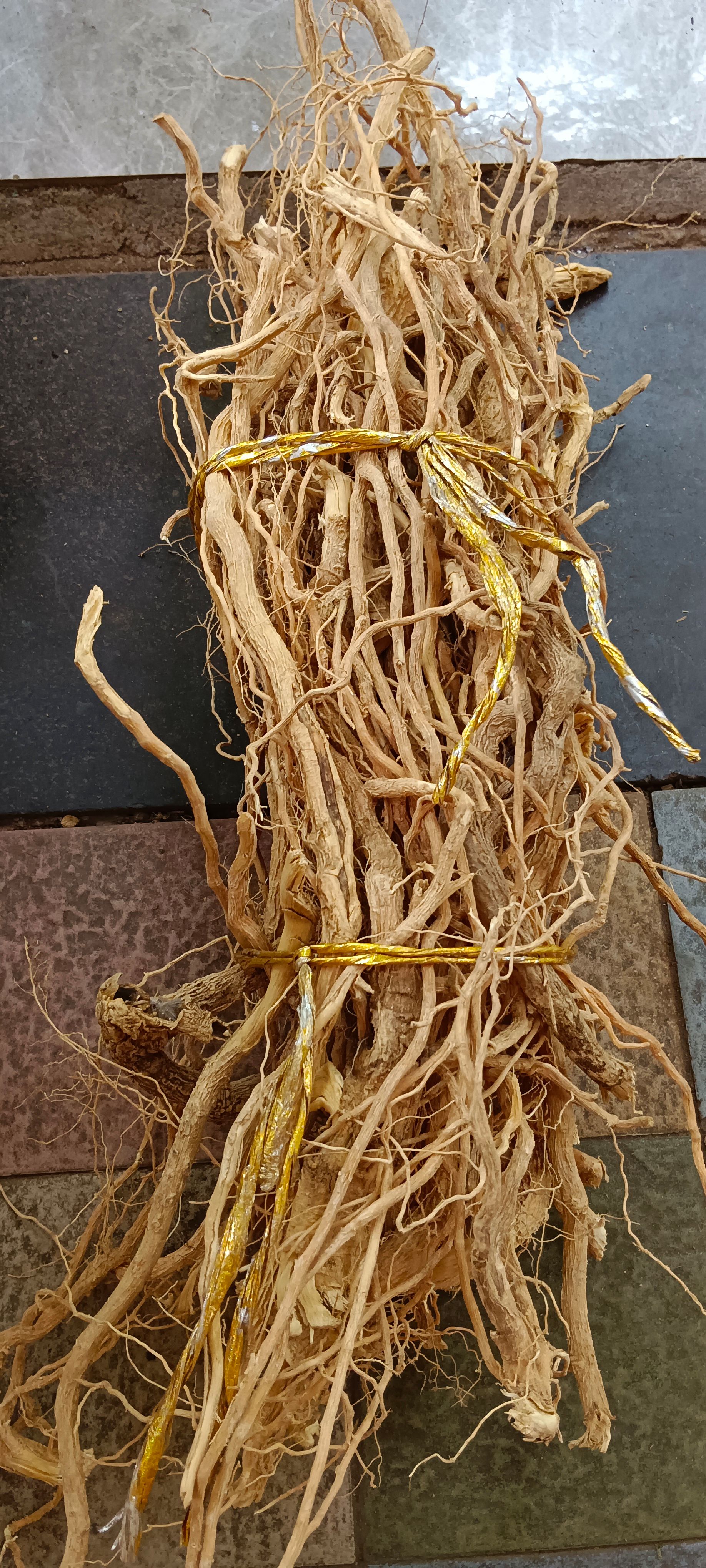 黄花倒水莲，中药材