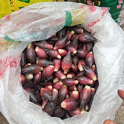 兴义市阳荷