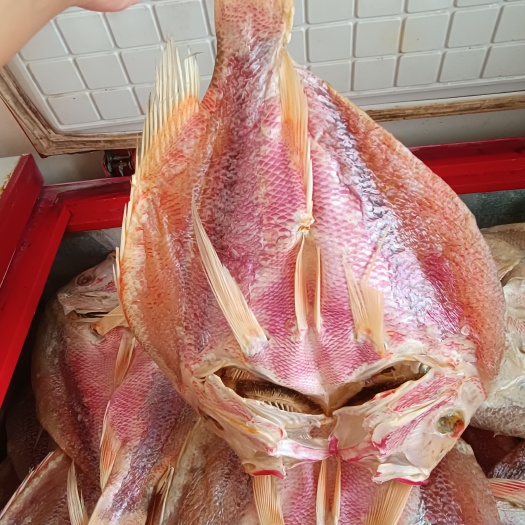 广东湛江新鲜红鱼干 产地直销 品质保证