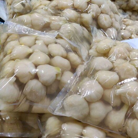 北京大蒜之乡杞县大蒜系列产品