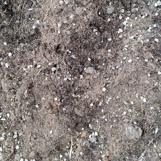 苏州基质土  有机土种植土