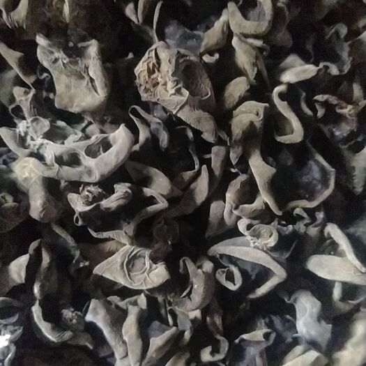 东宁市黑龙江黑木耳
