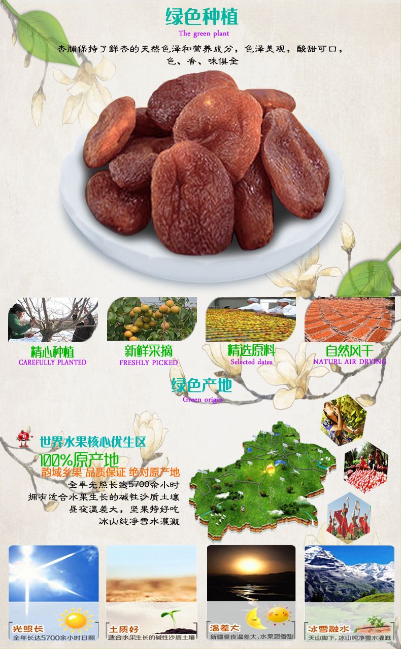 无核黑杏干香甜软糯办公室休闲果干零食土耳其黑杏脯产地直发
