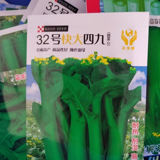 油菜心种子甜菜心种子广东菜心种子30天四九菜心