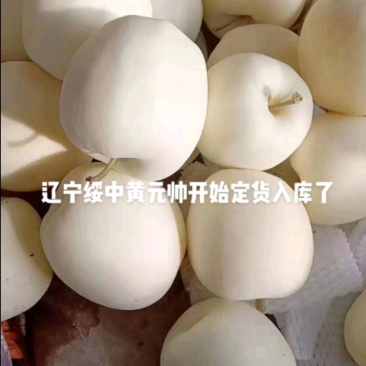 绥中县黄元帅苹果，产地批发，支持全国发货