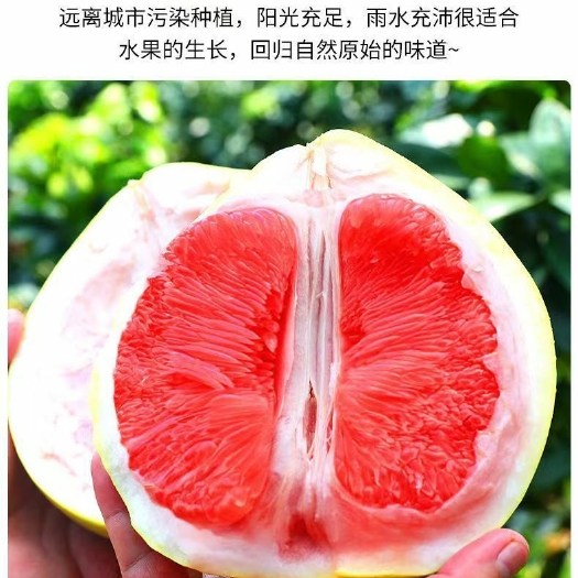 红肉小子密柚