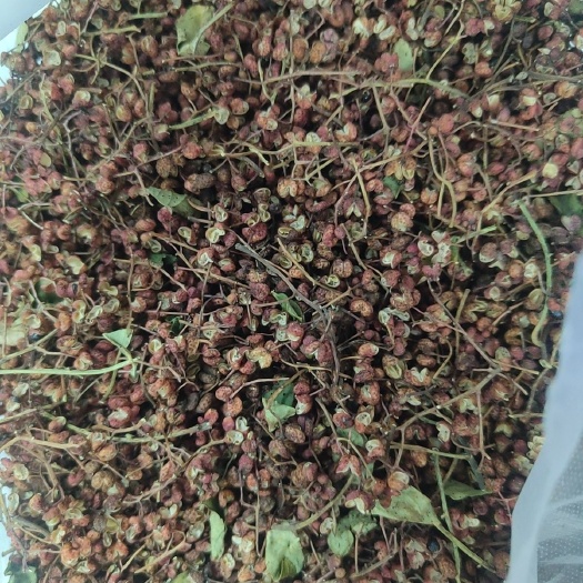 兰陵县花椒，大红袍