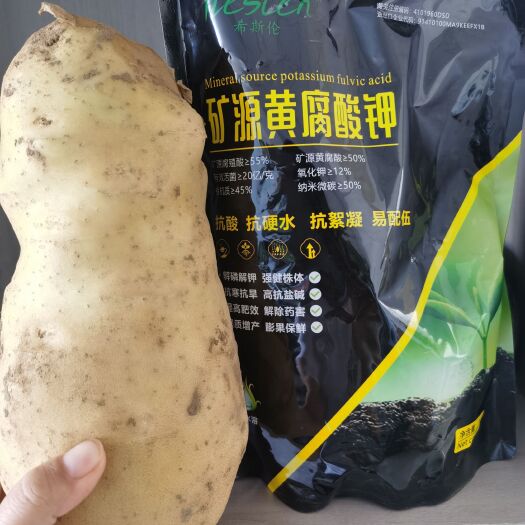 四子王旗以色列希斯伦矿源黄腐酸钾高抗盐碱，促进生根，膨果增产
