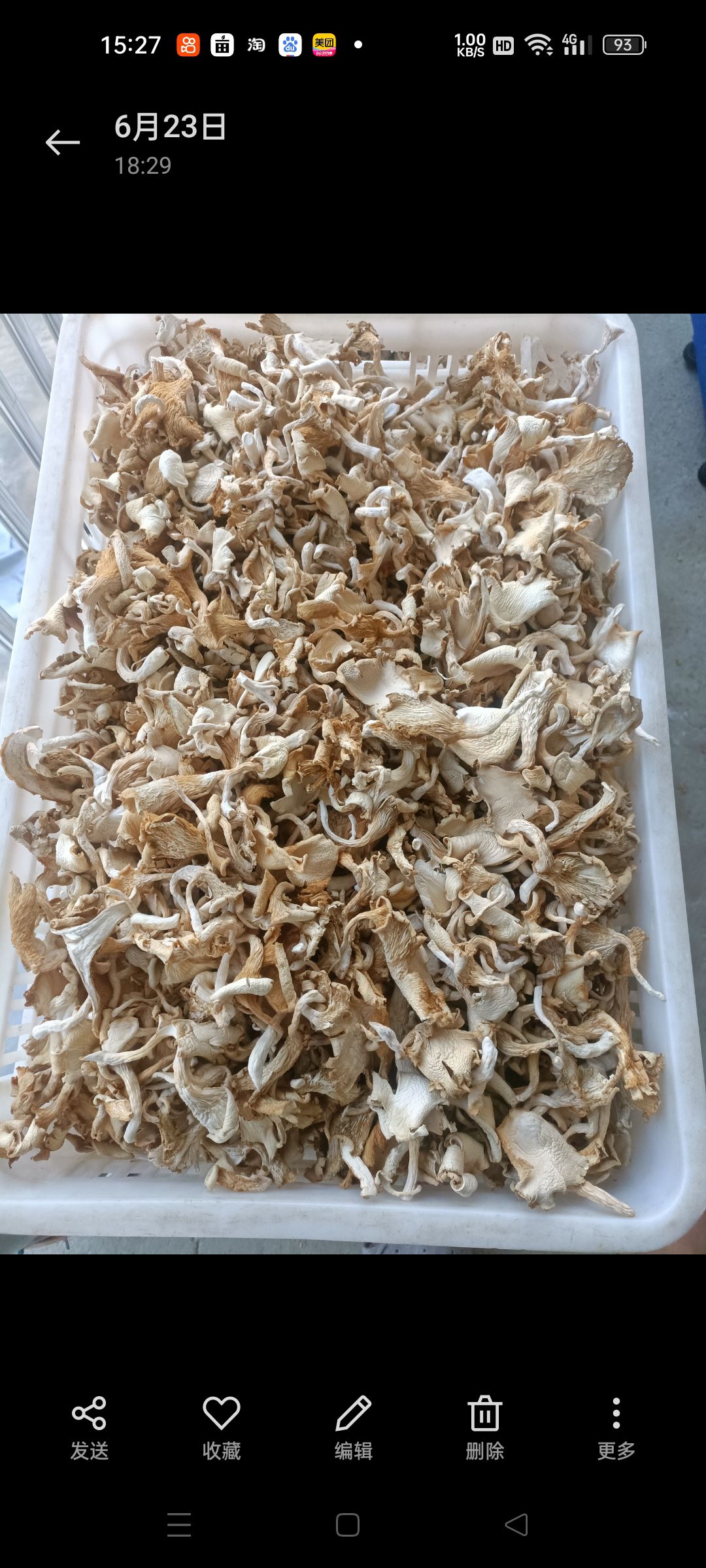 干货干平菇平菇条当季新货