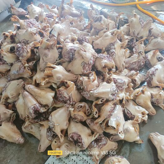 榆林羊头