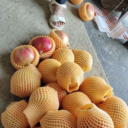 蒙自市蒙自新安所薄皮绿籽石榴、突尼斯、红皮观颜