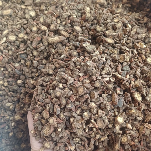 玉林紫花丹参无硫磺丹参红根大红袍血参根量大从优两个规格