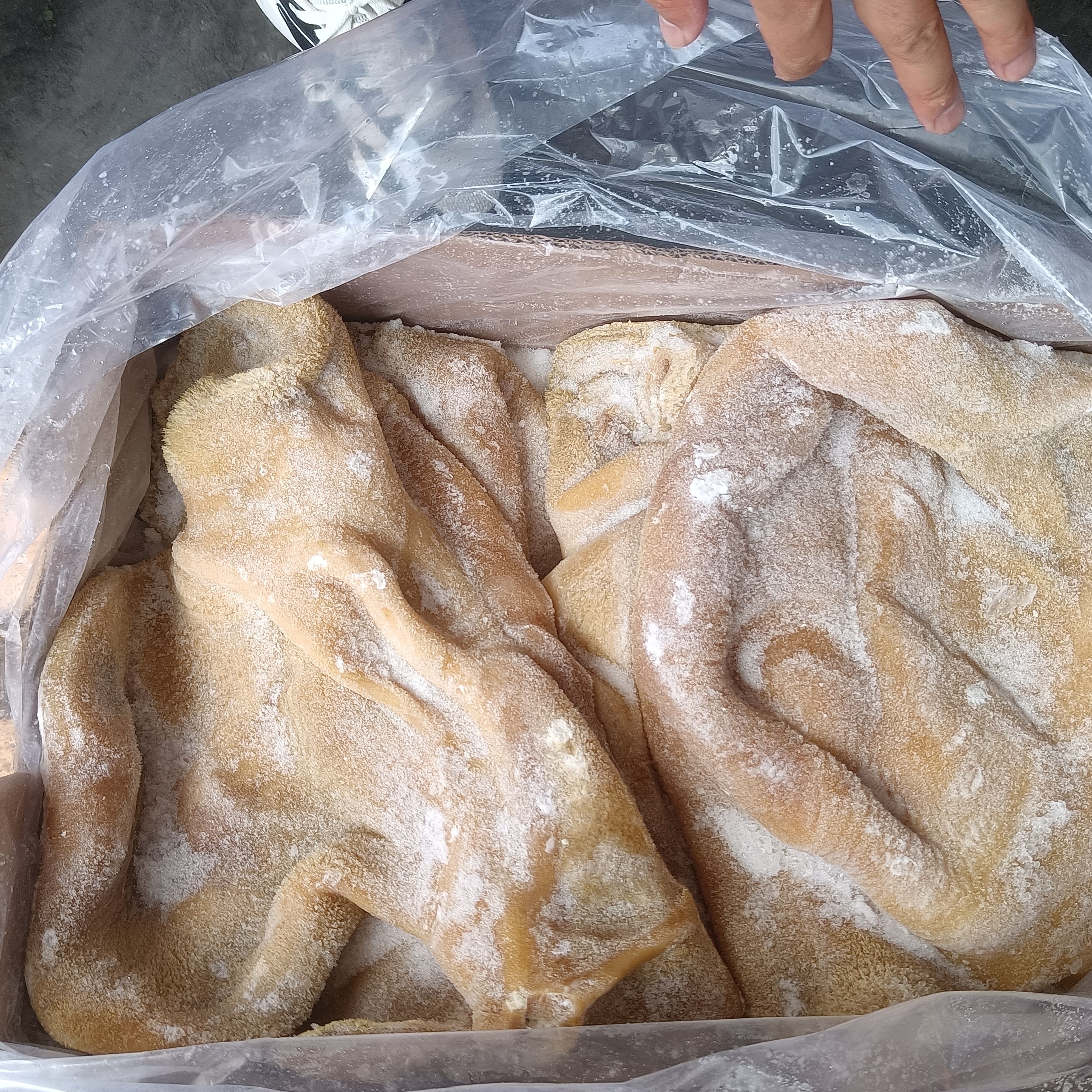 牛肚，纯干无碱发，解冻一斤出一斤，硬煮出8.5左右，一手货源